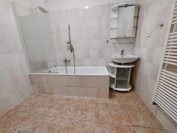 Pronájem bytu 3+1 v osobním vlastnictví 68 m², Nížkovice