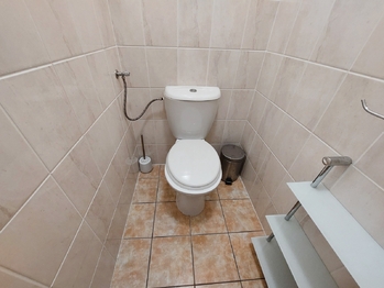 Pronájem bytu 3+1 v osobním vlastnictví 68 m², Nížkovice