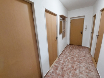 Pronájem bytu 3+1 v osobním vlastnictví 68 m², Nížkovice