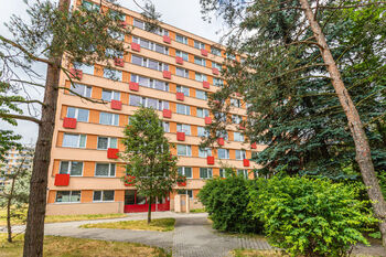 Pronájem bytu 2+kk v osobním vlastnictví 41 m², Kladno
