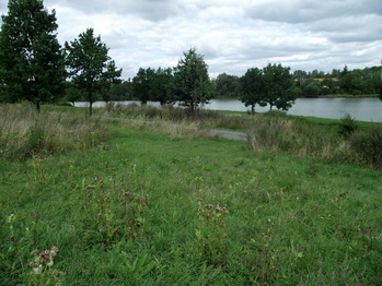 Prodej pozemku 1399 m², Polom