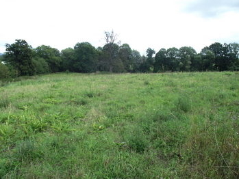 Prodej pozemku 1399 m², Polom