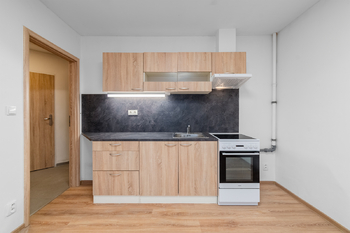 Pronájem bytu 2+kk v osobním vlastnictví 37 m², Plzeň