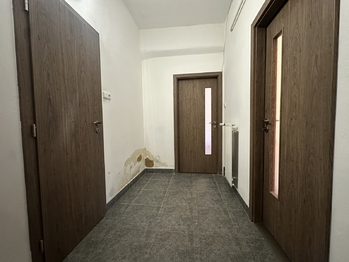 Prodej bytu 1+1 v osobním vlastnictví 44 m², Brno