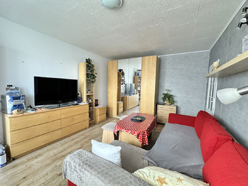 Prodej bytu 1+kk v osobním vlastnictví 35 m², Kladno