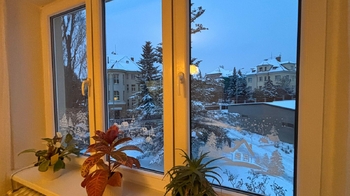 Pronájem bytu 2+1 v družstevním vlastnictví 52 m², Praha 6 - Dejvice