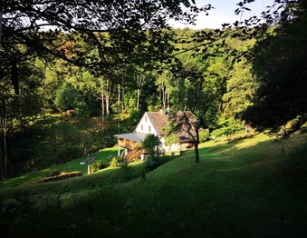 Prodej chaty / chalupy 300 m², Stráž nad Ohří