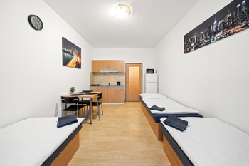 Pronájem bytu 1+kk v osobním vlastnictví 26 m², Pardubice