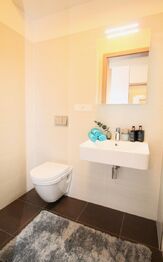 Pronájem bytu 1+kk v osobním vlastnictví 30 m², Praha 10 - Malešice