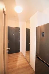 Pronájem bytu 1+kk v osobním vlastnictví 30 m², Praha 10 - Malešice