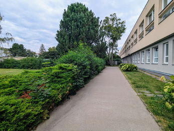 Pronájem obchodních prostor 36 m², Vyškov