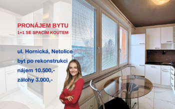 Pronájem bytu 1+1 v osobním vlastnictví 45 m², Netolice