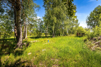 Prodej pozemku 18492 m², Nové Hrady