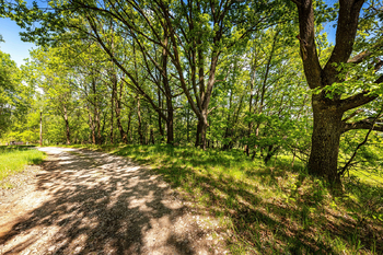 Prodej pozemku 18492 m², Nové Hrady