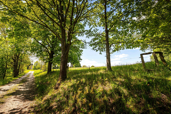 Prodej pozemku 18492 m², Nové Hrady