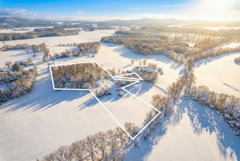 Prodej pozemku 18492 m², Nové Hrady