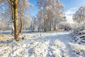 Prodej pozemku 18492 m², Nové Hrady