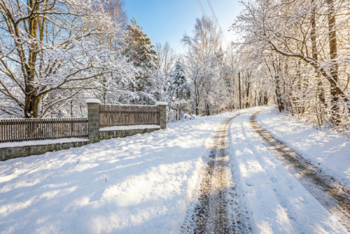 Prodej pozemku 18492 m², Nové Hrady