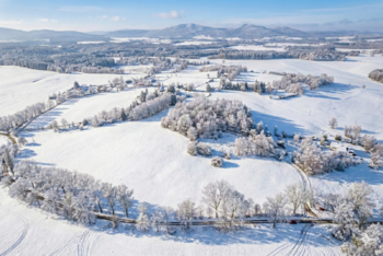 Prodej pozemku 18492 m², Nové Hrady
