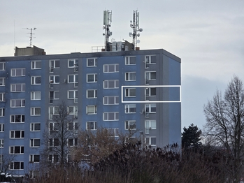 Pronájem bytu 2+1 v družstevním vlastnictví 58 m², Mohelnice