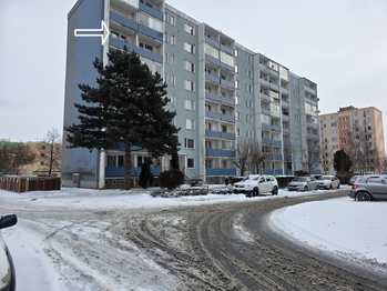 Pronájem bytu 2+1 v družstevním vlastnictví 58 m², Mohelnice