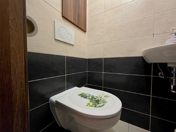 Pronájem bytu 2+1 v družstevním vlastnictví 58 m², Mohelnice