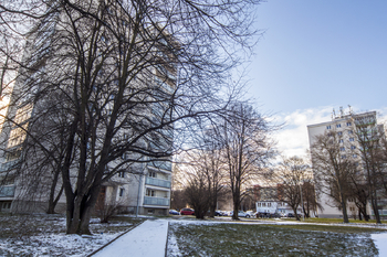 pohled na dům - Pronájem bytu 3+1 v osobním vlastnictví 63 m², Praha 6 - Břevnov