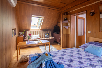 Pronájem domu 170 m², Břeclav