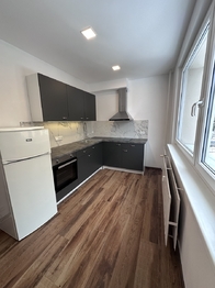 Pronájem bytu 2+1 v osobním vlastnictví 57 m², Liberec