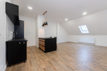 Prodej domu 368 m², Novosedlice