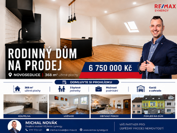 Prodej domu 368 m², Novosedlice