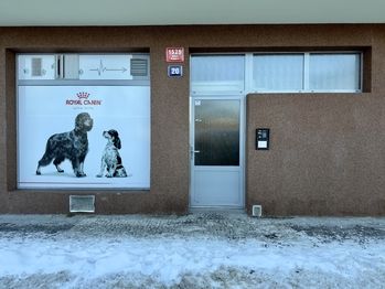 Pronájem bytu 2+1 v osobním vlastnictví 54 m², Praha 4 - Nusle