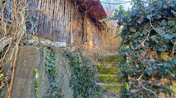 Prodej domu 110 m², Nesovice