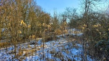 Prodej domu 110 m², Nesovice