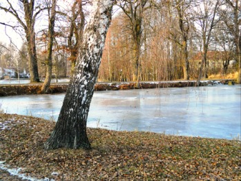 Hrušova Lhota má několik rybníků. - Prodej domu 396 m², Přehořov