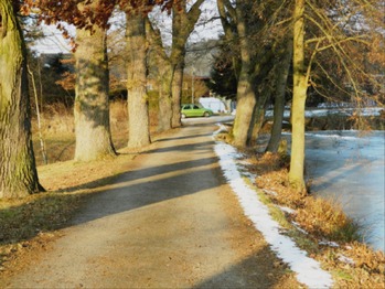 Příjezdová cesta. - Prodej domu 396 m², Přehořov