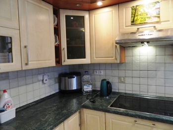 Detail kuchyňské linky. - Prodej domu 396 m², Přehořov