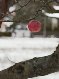 Prodej pozemku 669 m², Strání