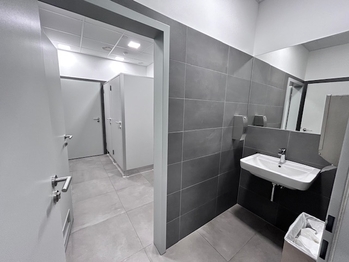 Pronájem obchodních prostor 192 m², Praha 9 - Vysočany