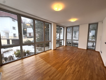 Pronájem bytu 3+kk v osobním vlastnictví 113 m², Praha 5 - Smíchov