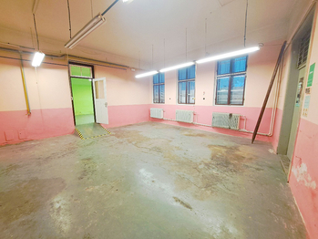 Pronájem výrobních prostor 185 m², Železný Brod