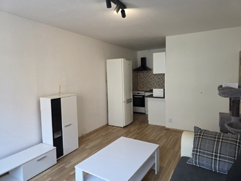 Prodej bytu 2+kk v družstevním vlastnictví 40 m², Krupka