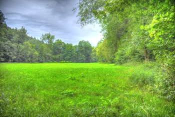 Prodej pozemku 1798 m², Krásná Hora nad Vltavou