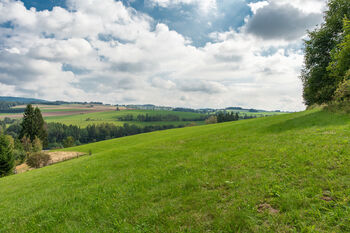 Prodej pozemku 4548 m², Sobkovice