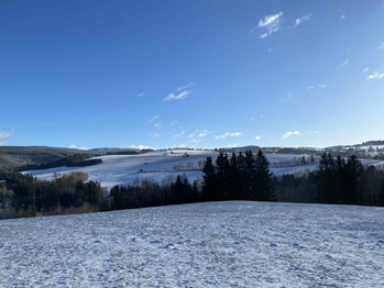 Prodej pozemku 4548 m², Sobkovice