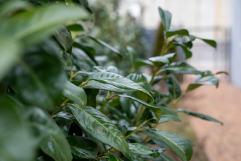 Prodej bytu 3+kk v osobním vlastnictví 180 m², Nový Knín