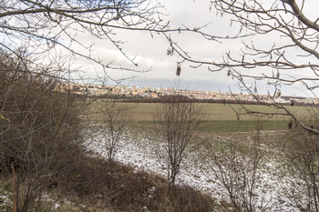 pohled na pole v okolí - Pronájem bytu 3+kk v družstevním vlastnictví 76 m², Praha 4 - Chodov