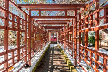 Pergola s růžemi lemující příchod k vile - Prodej domu 464 m², Praha 10 - Vinohrady