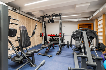 Fitness v suterénu - Prodej domu 464 m², Praha 10 - Vinohrady