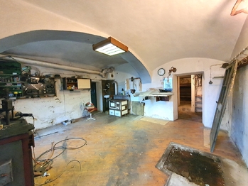 Prodej domu 289 m², Skočice